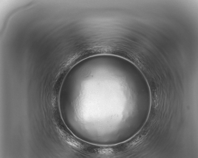 X0000059240355200510211608