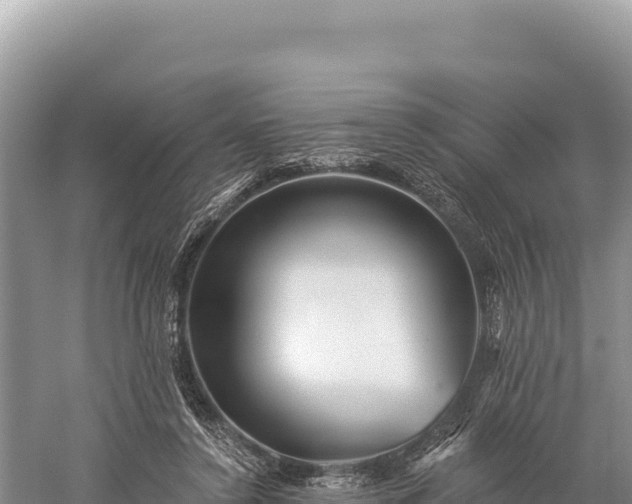 X0000059240356200510211608