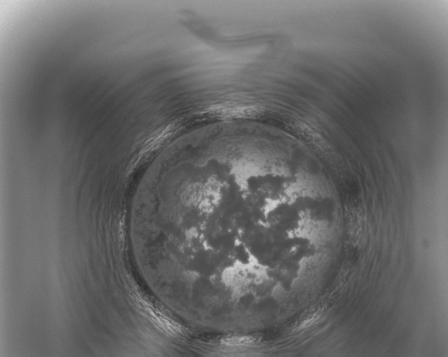 X0000059240357200510211608