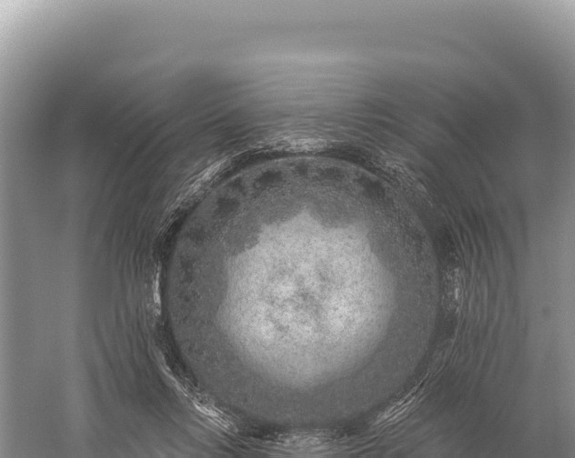 X0000059240358200510211608