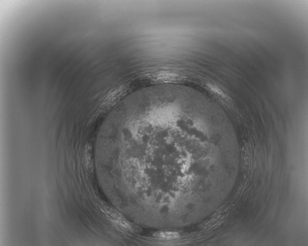 X0000059240361200510211608