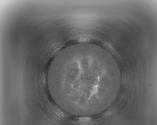 X0000059240363200510211608