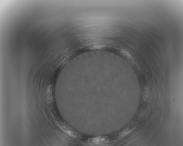 X0000059240366200510211608