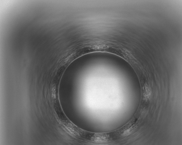 X0000059240368200510211608