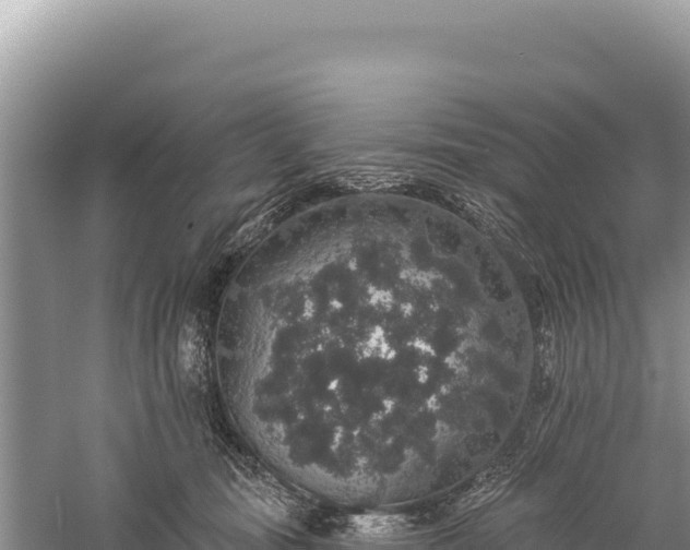 X0000059240371200510211608