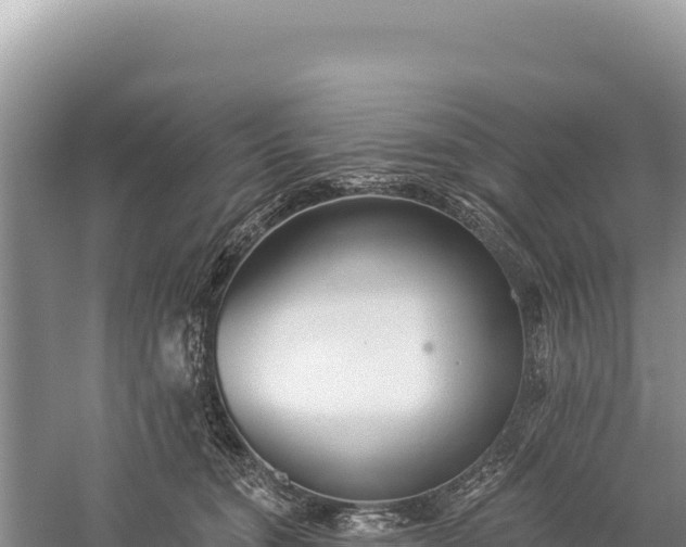 X0000059240372200510211608