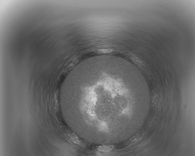 X0000059240373200510211608