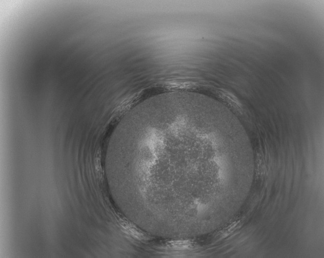 X0000059240377200510211608