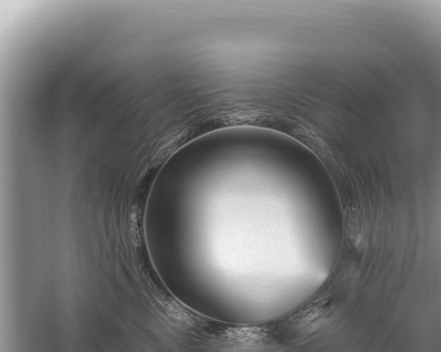 X0000059240378200510211608