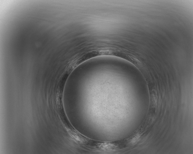 X0000059240379200510211608