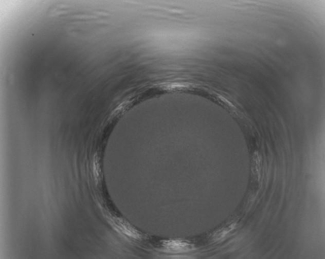 X0000059240380200510211609