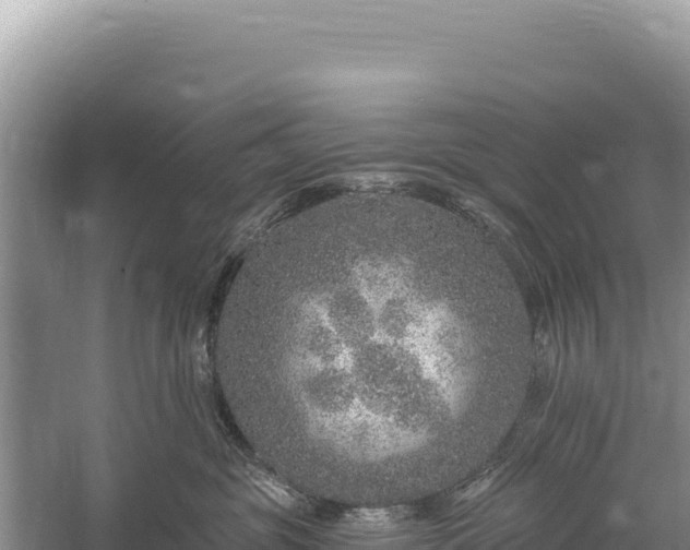 X0000059240381200510211609