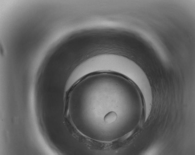 X0000059240383200510211609