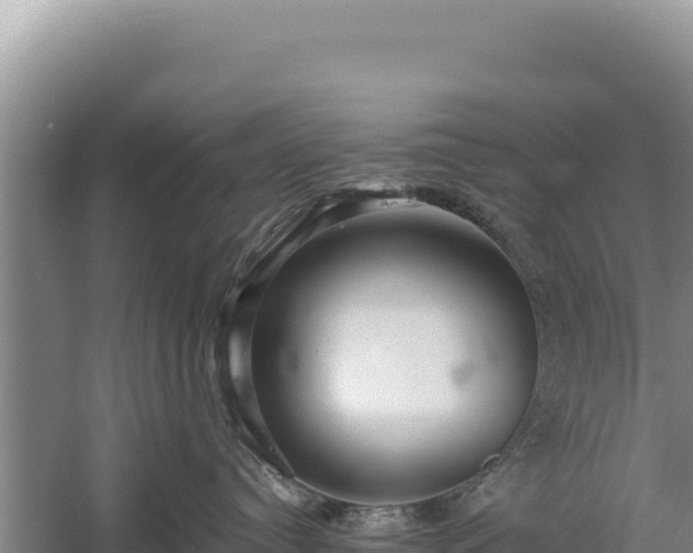 X0000059240384200510211609