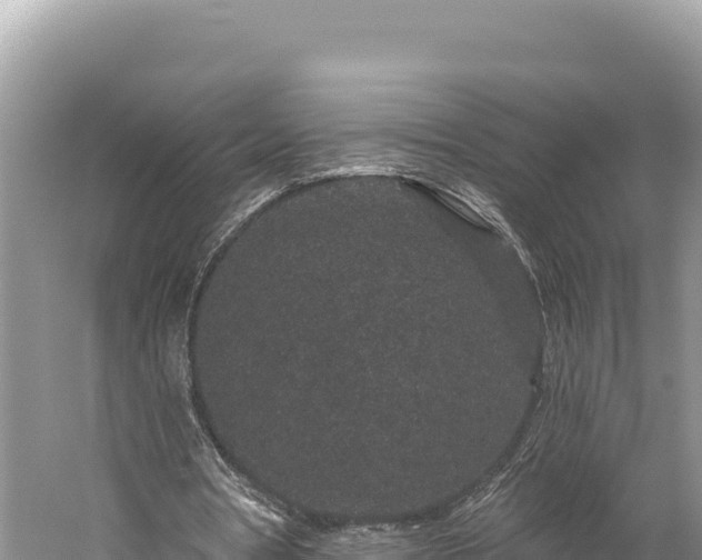 X0000059240386200510211608