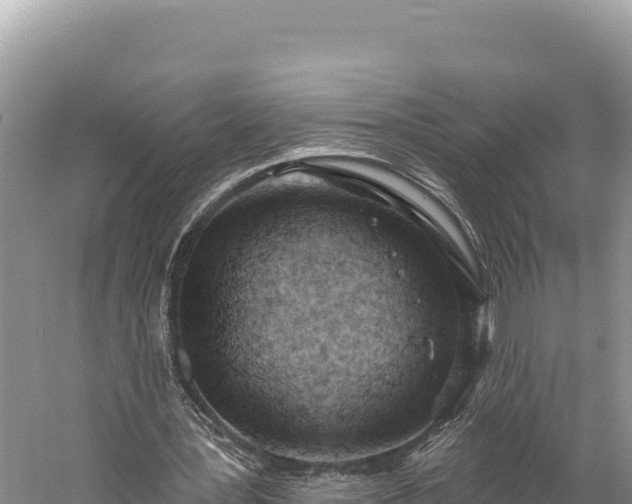 X0000059240387200510211608