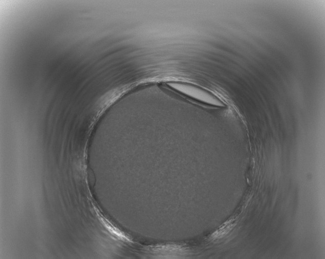 X0000059240389200510211608