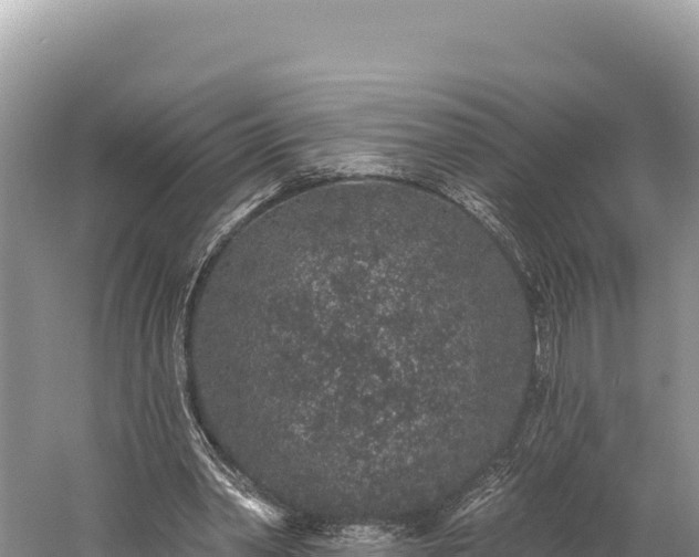 X0000059240390200510211608