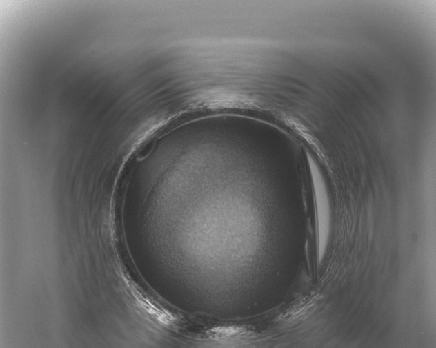 X0000059240391200510211608