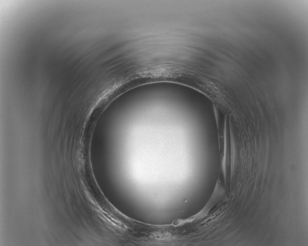 X0000059240392200510211608