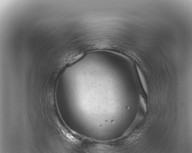 X0000059240393200510211608