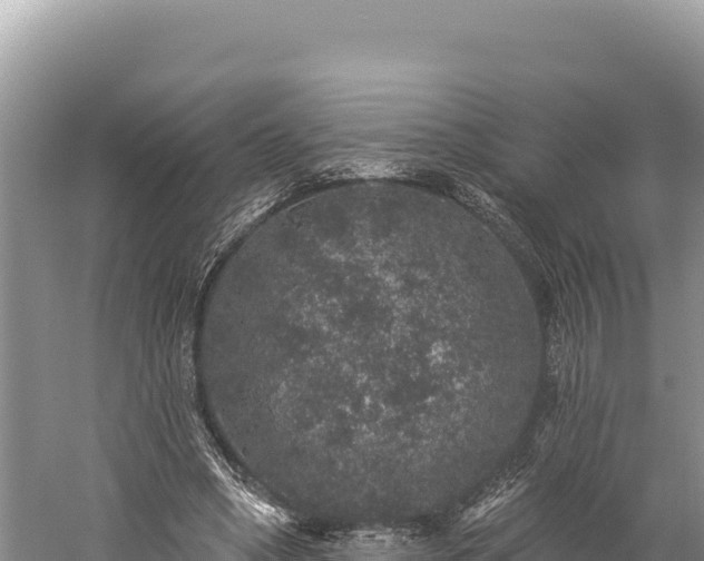 X0000059240394200510211608