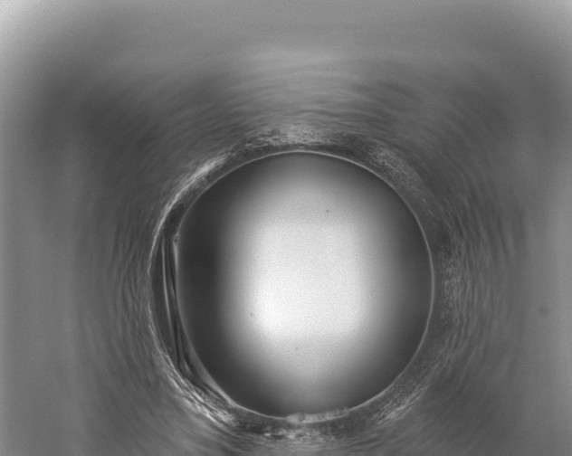 X0000059240395200510211608