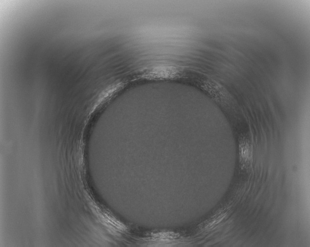 X0000059240396200510211608