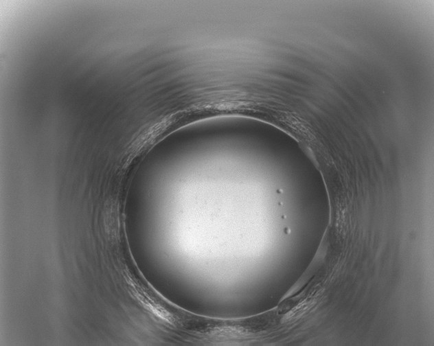 X0000059240397200510211608