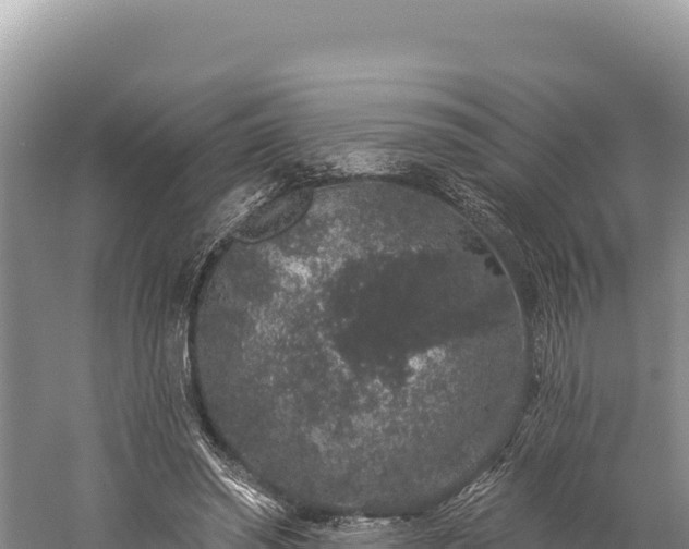 X0000059240398200510211608