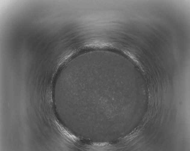 X0000059240399200510211608