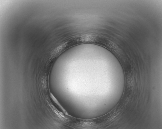 X0000059240401200510211607