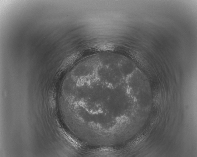 X0000059240402200510211607