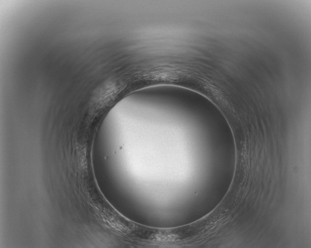 X0000059240403200510211607