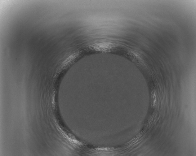 X0000059240404200510211607