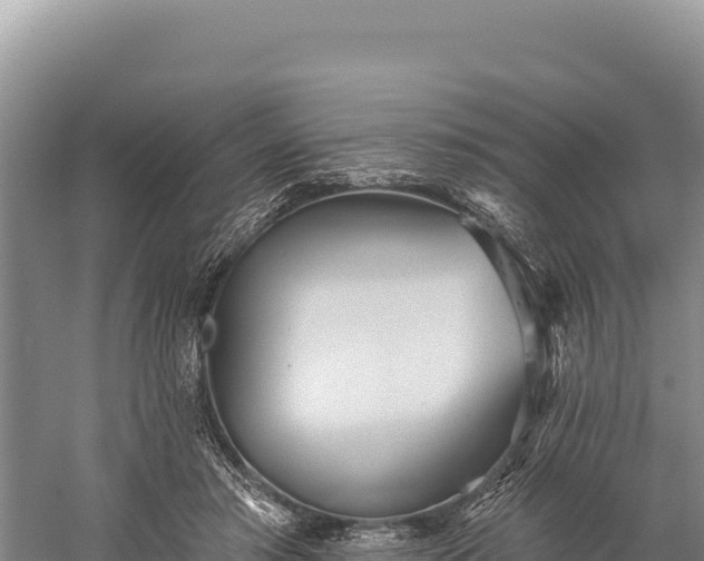 X0000059240405200510211607