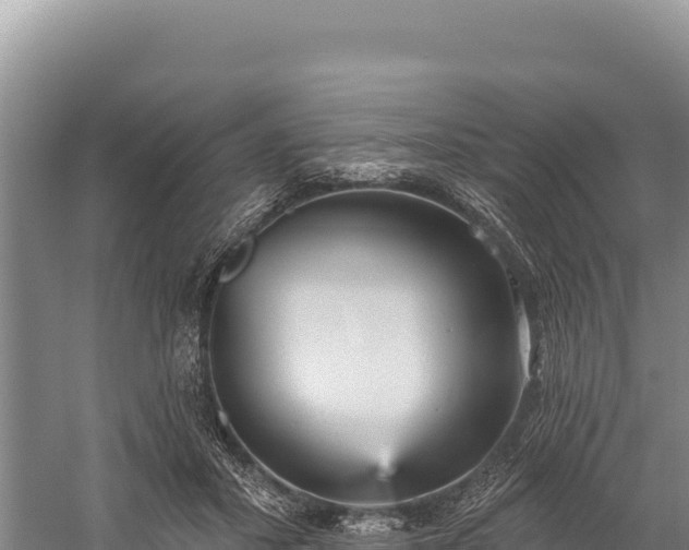 X0000059240407200510211607