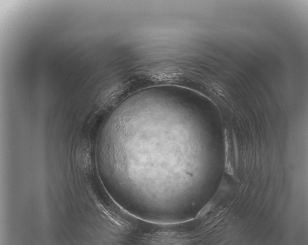 X0000059240408200510211607