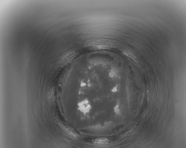 X0000059240410200510211607