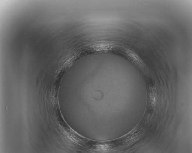 X0000059240411200510211607