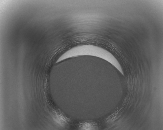 X0000059240412200510211607