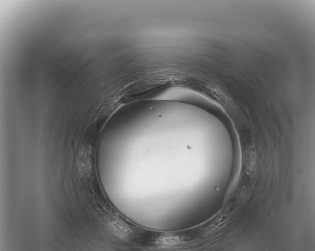 X0000059240413200510211607