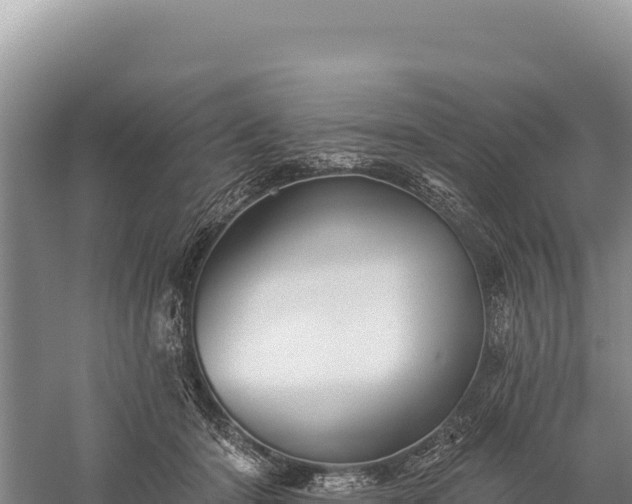 X0000059240414200510211607