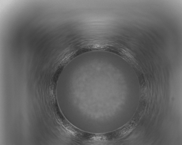 X0000059240415200510211607