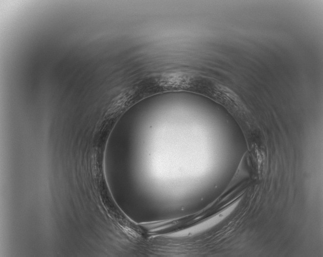 X0000059240416200510211607