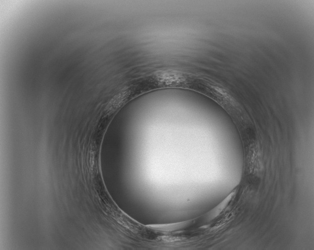 X0000059240417200510211607