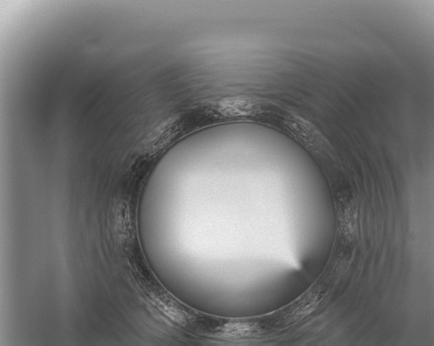 X0000059240418200510211607