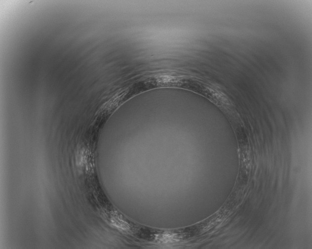 X0000059240419200510211607