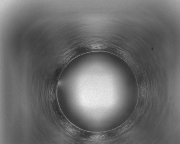 X0000059240422200510211607