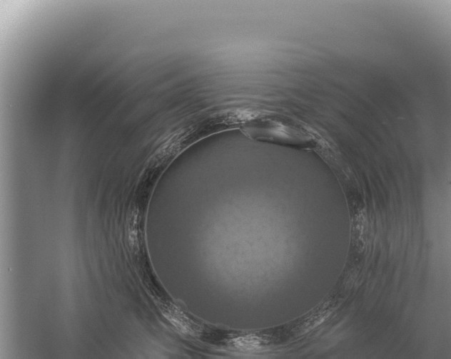 X0000059240423200510211607